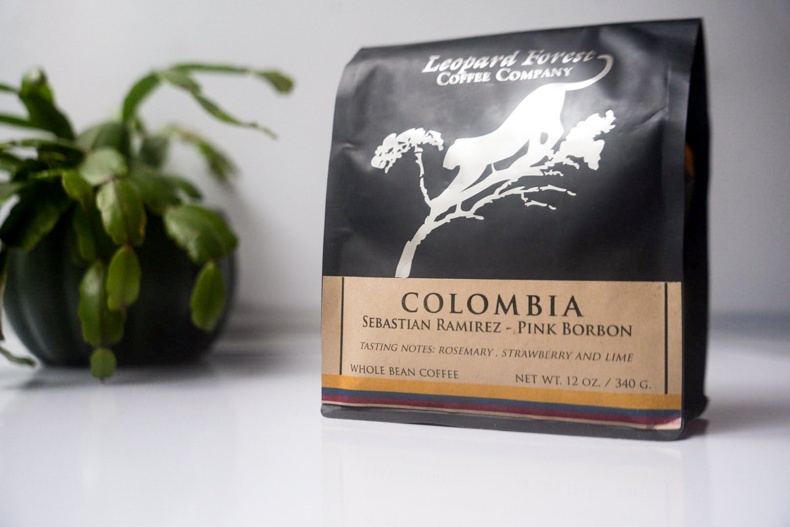 Colombia Sebastian Ramirez Pink Bourbon Natural CI | Leopard